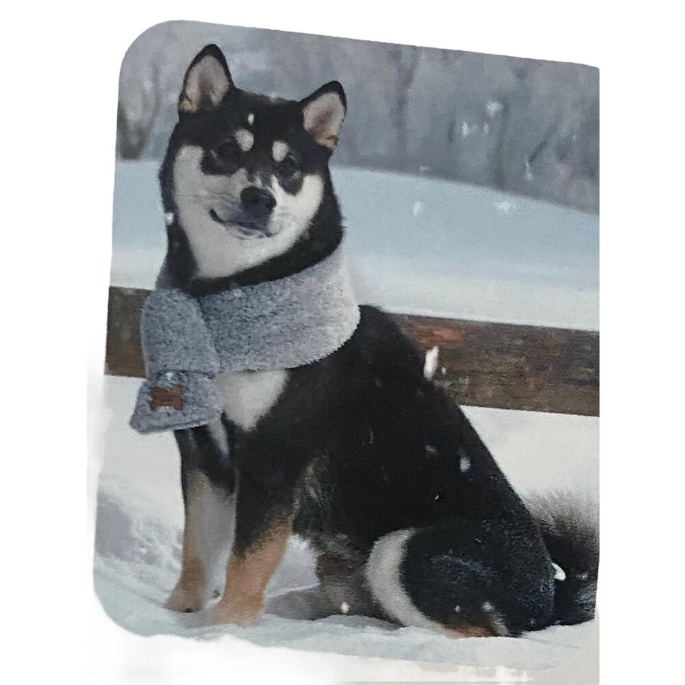 Koolaburra By Ugg Copper Pet Scarf for Dogs  M  **NWT - Picture 2 of 6